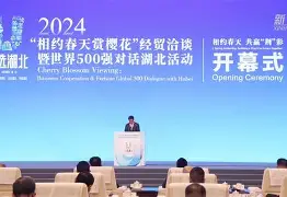 包含板球大奖赛上演强强对话，陇右犀牛队鏖战关东飞鹰队，多点开花奏效；本土核心状态回升的词条